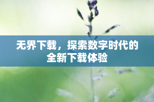探索数字时代的全新下载体验图片