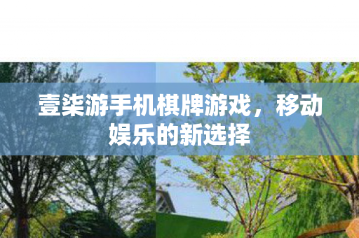壹柒游手机棋牌游戏图片