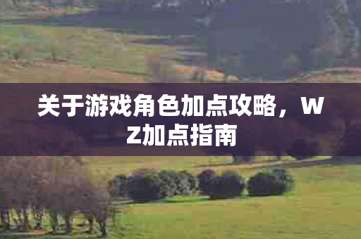 关于游戏角色加点攻略图片
