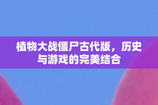 历史与游戏的完美结合图片
