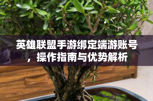 英雄联盟手游绑定端游账号图片