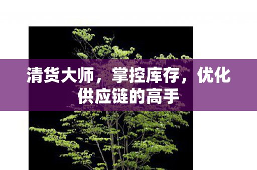 优化供应链的高手图片