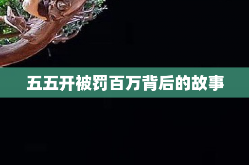五五开被罚百万背后的故事图片