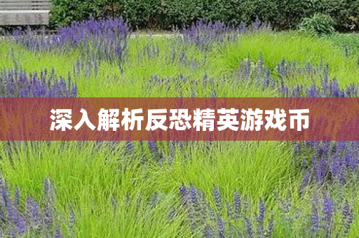 深入解析反恐精英游戏币图片