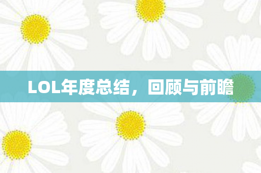 LOL年度总结图片