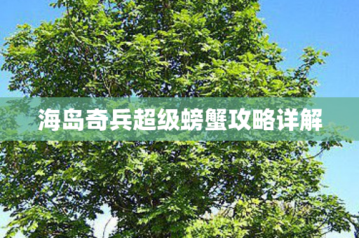 海岛奇兵超级螃蟹攻略详解图片