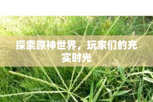 玩家们的充实时光图片