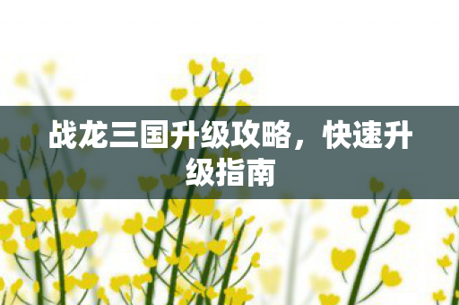 战龙三国升级攻略图片