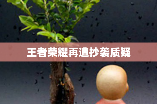王者荣耀再遭抄袭质疑图片