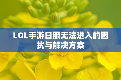 LOL手游日服无法进入的困扰与解决方案图片