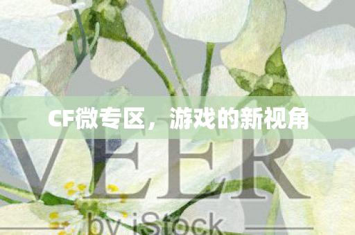 游戏的新视角图片