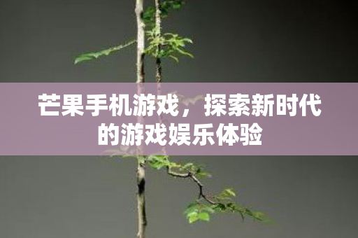 探索新时代的游戏娱乐体验图片