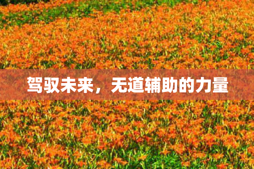 无道辅助的力量图片