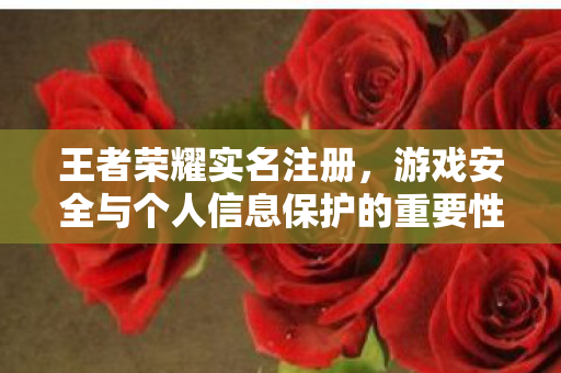 游戏安全与个人信息保护的重要性图片