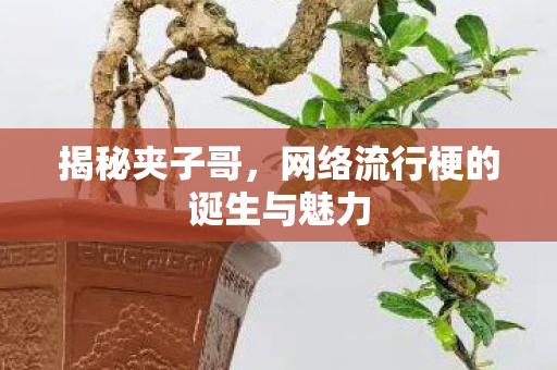 网络流行梗的诞生与魅力图片