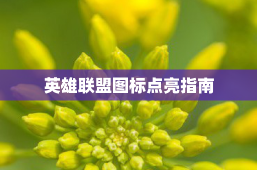 英雄联盟图标点亮指南图片