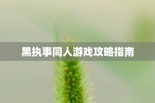 黑执事同人游戏攻略指南图片
