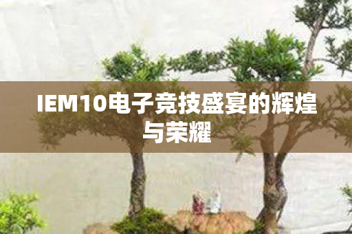 IEM10电子竞技盛宴的辉煌与荣耀图片