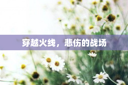 悲伤的战场图片