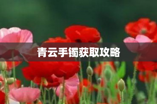 青云手镯获取攻略图片