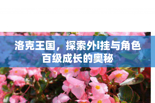 探索外i挂与角色百级成长的奥秘图片