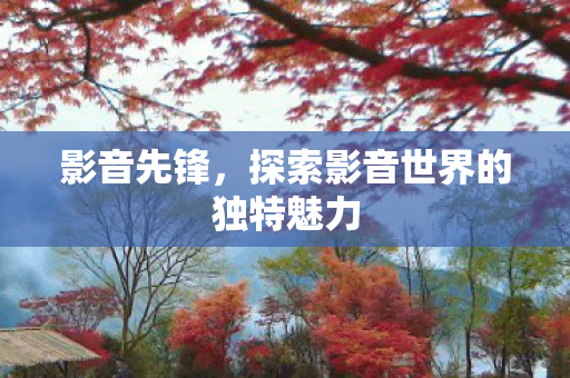 探索影音世界的独特魅力图片
