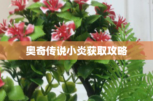 奥奇传说小炎获取攻略图片