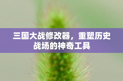 重塑历史战场的神奇工具图片