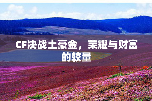 荣耀与财富的较量图片