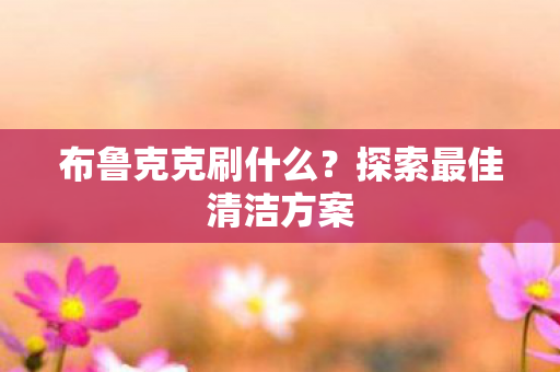 探索最佳清洁方案图片
