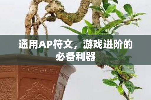 游戏进阶的必备利器图片