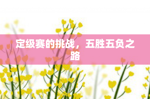 定级赛的挑战图片