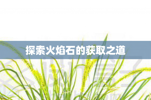 探索火焰石的获取之道图片