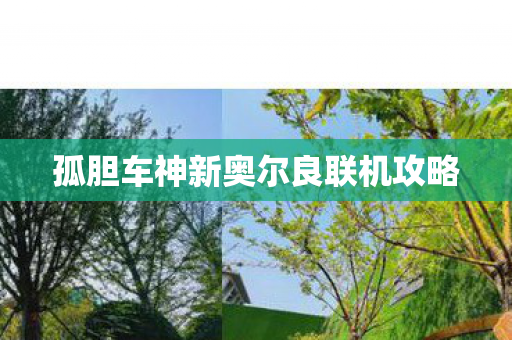 孤胆车神新奥尔良联机攻略图片