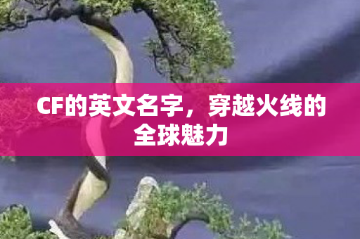 穿越火线的全球魅力图片