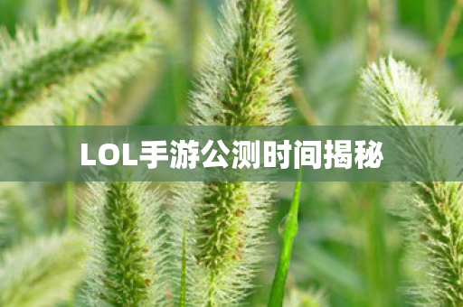 LOL手游公测时间揭秘图片