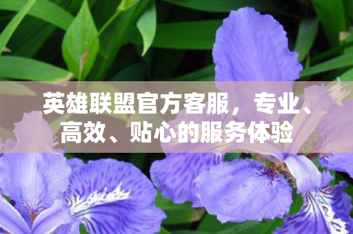 英雄联盟官方客服图片