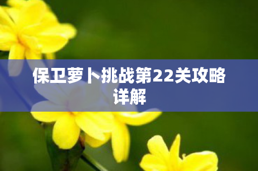 保卫萝卜挑战第22关攻略详解图片
