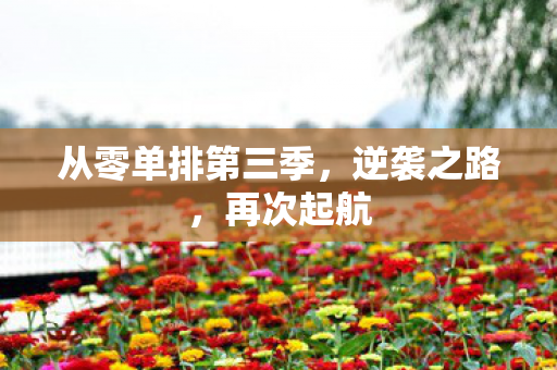 从零单排第三季图片
