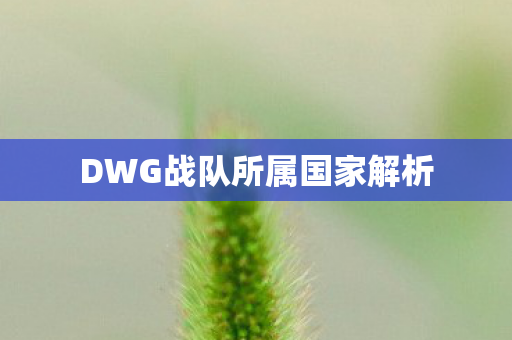 DWG战队所属国家解析图片