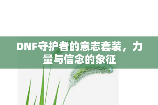 DNF守护者的意志套装图片