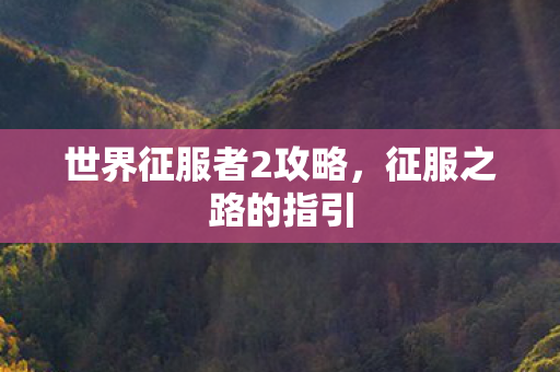 世界征服者2攻略图片