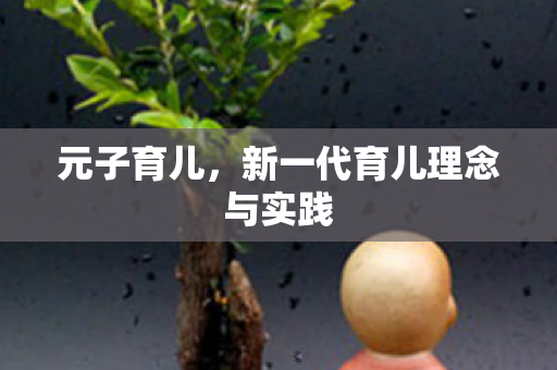 新一代育儿理念与实践图片
