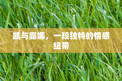 一段独特的情感纽带图片