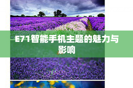 E71智能手机主题的魅力与影响图片