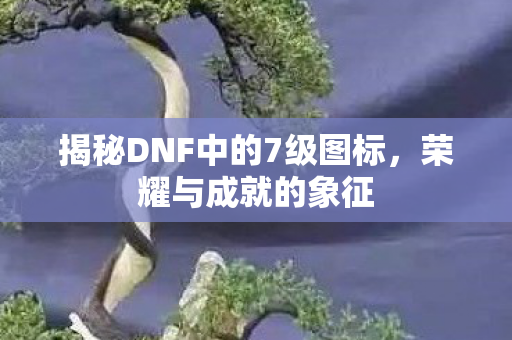 揭秘DNF中的7级图标图片
