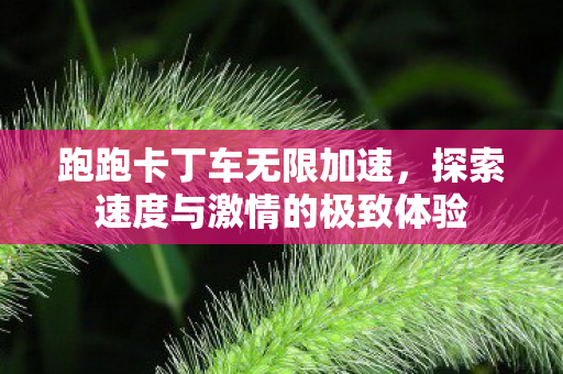 探索速度与激情的极致体验图片