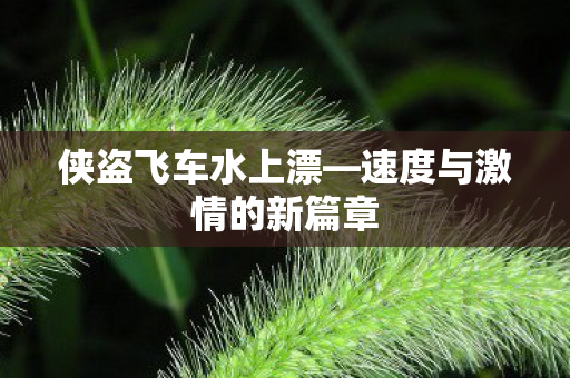 速度与激情的新篇章图片
