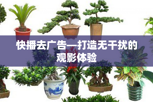 打造无干扰的观影体验图片