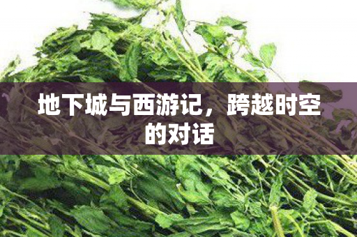地下城与西游记图片